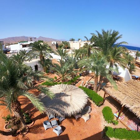 Miramar Camp Dahab Hotel Bagian luar foto