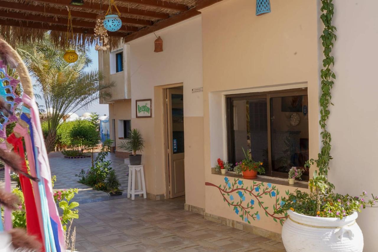 Miramar Camp Dahab Hotel Bagian luar foto