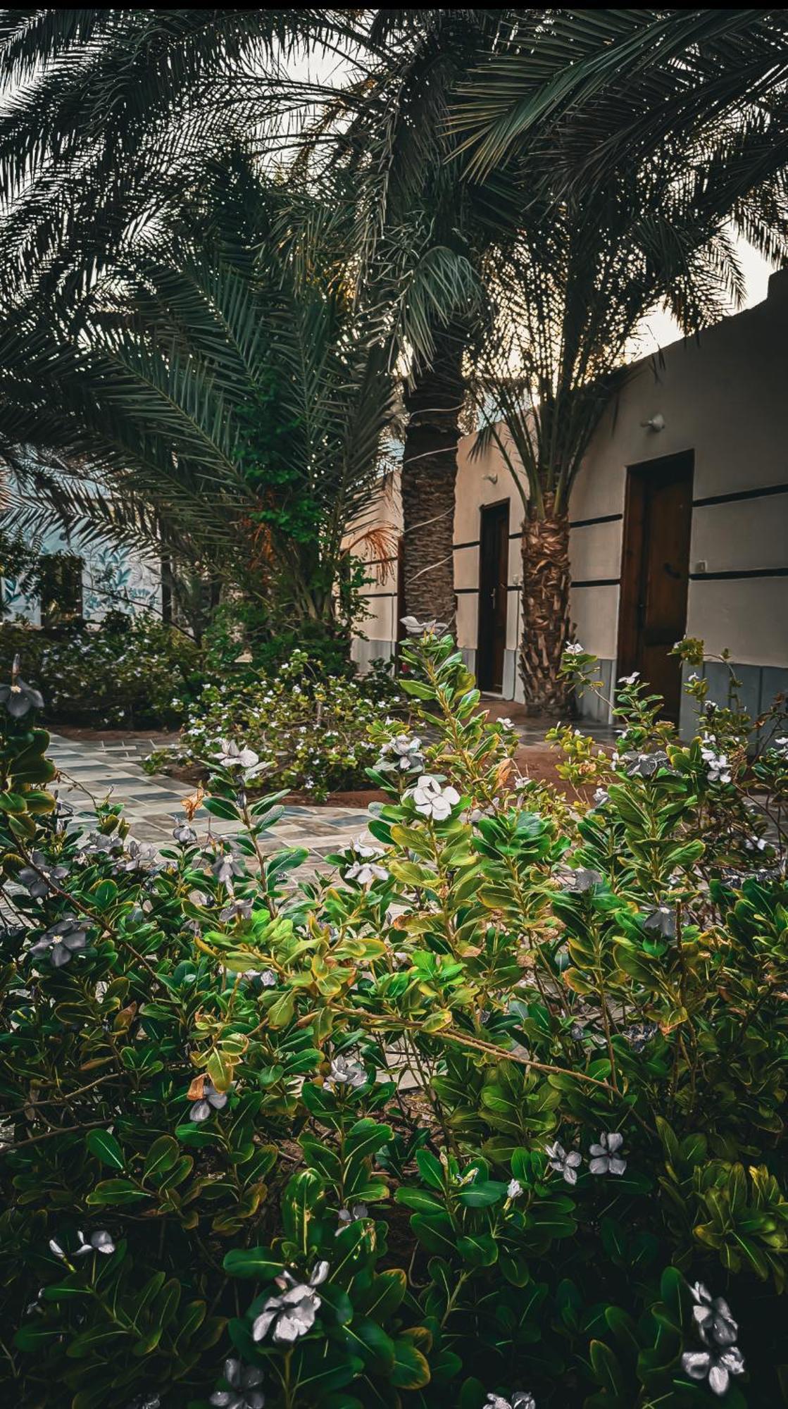 Miramar Camp Dahab Hotel Bagian luar foto