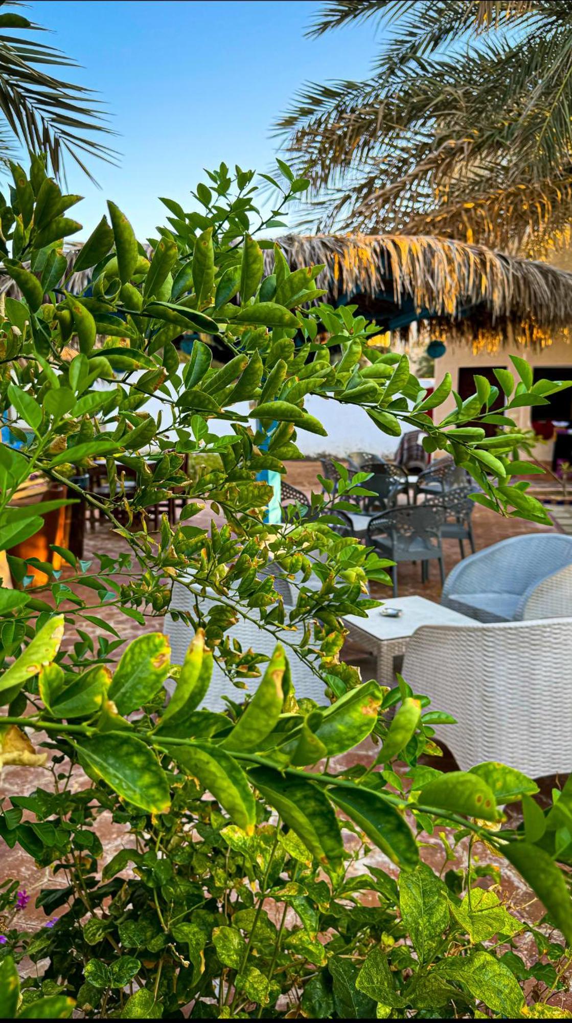 Miramar Camp Dahab Hotel Bagian luar foto