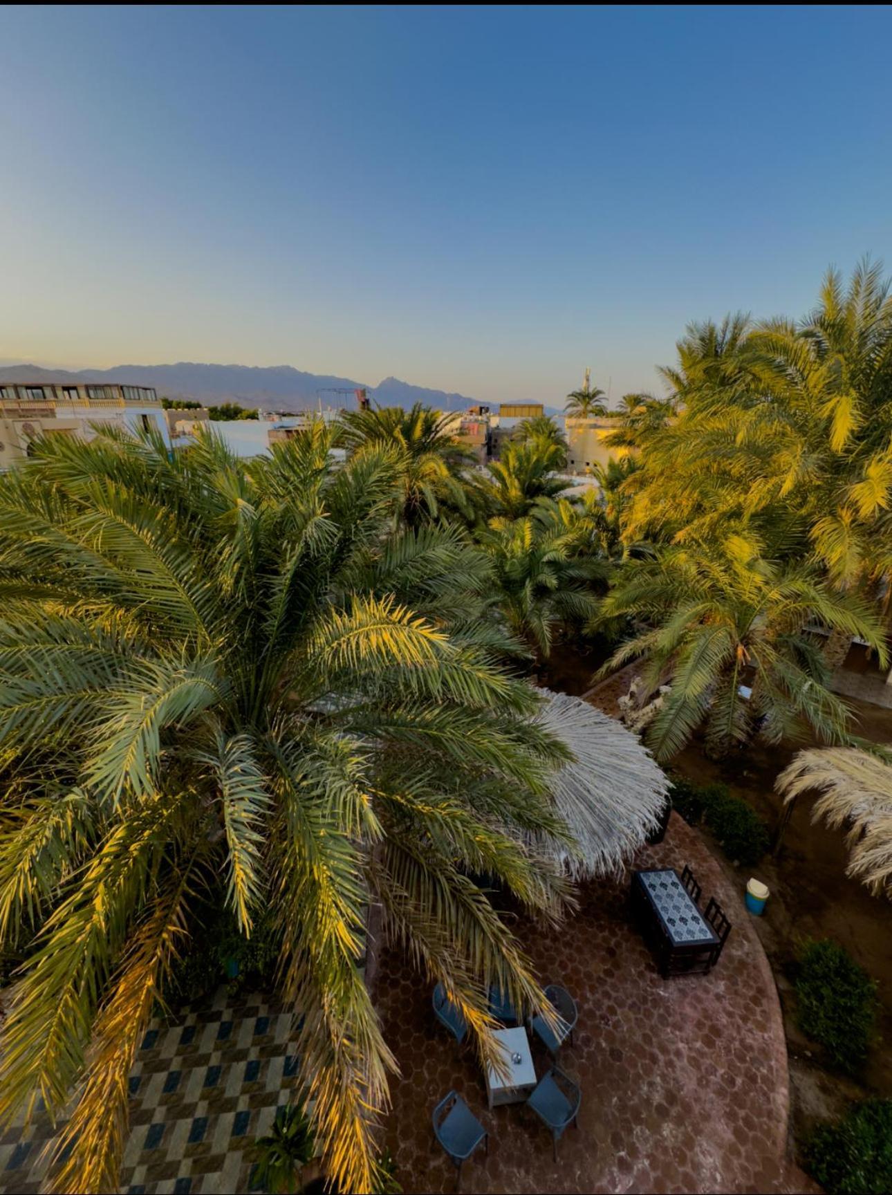 Miramar Camp Dahab Hotel Bagian luar foto