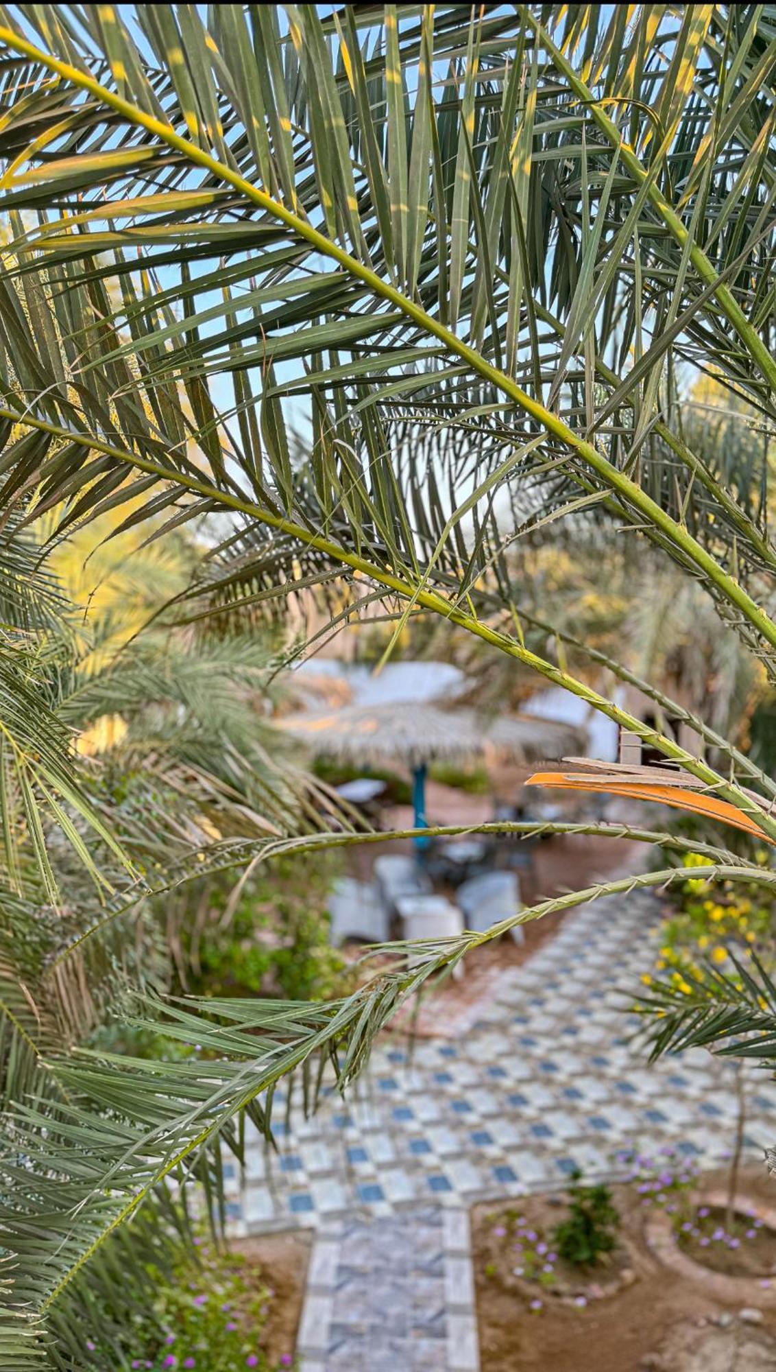 Miramar Camp Dahab Hotel Bagian luar foto