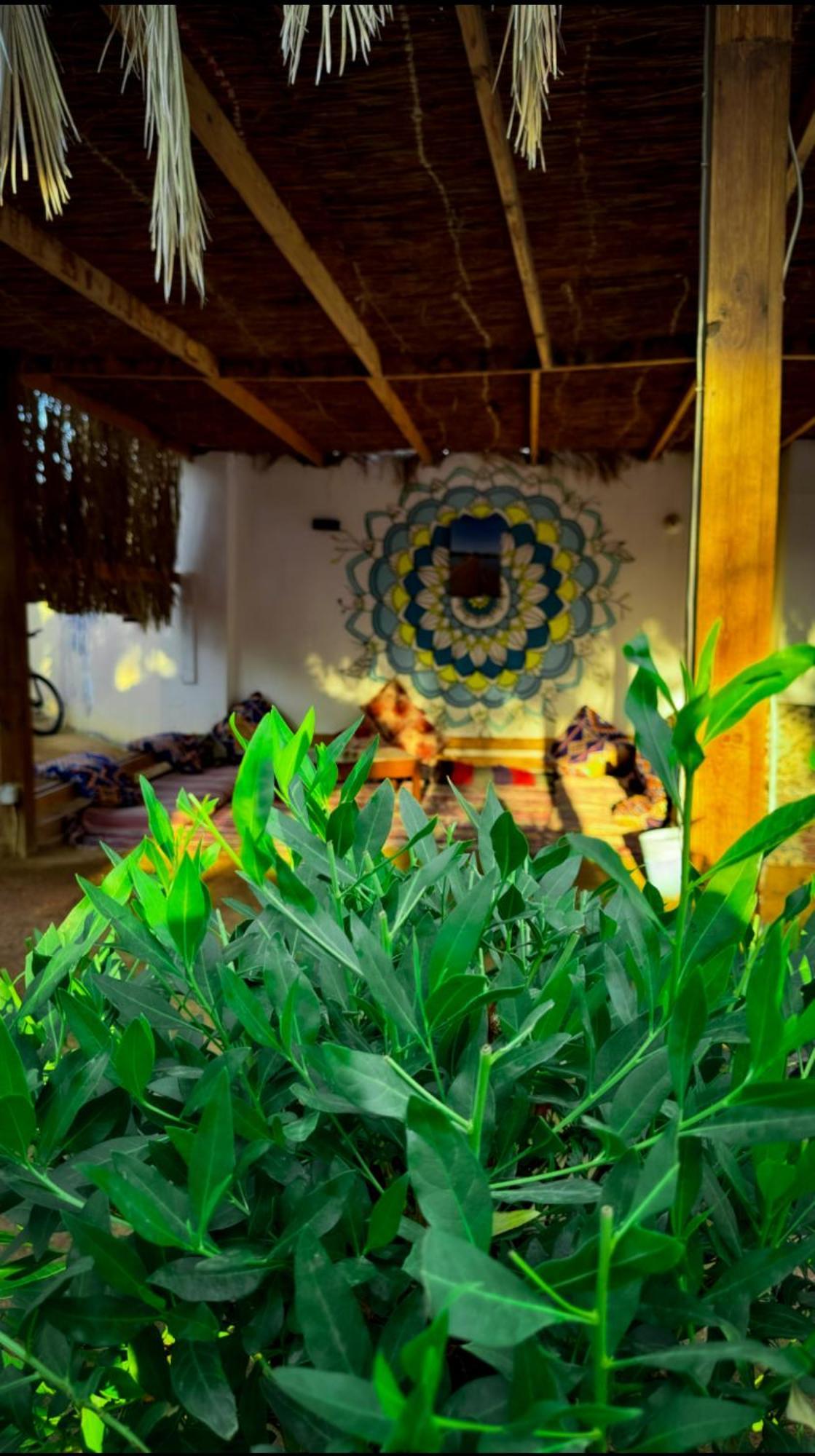 Miramar Camp Dahab Hotel Bagian luar foto