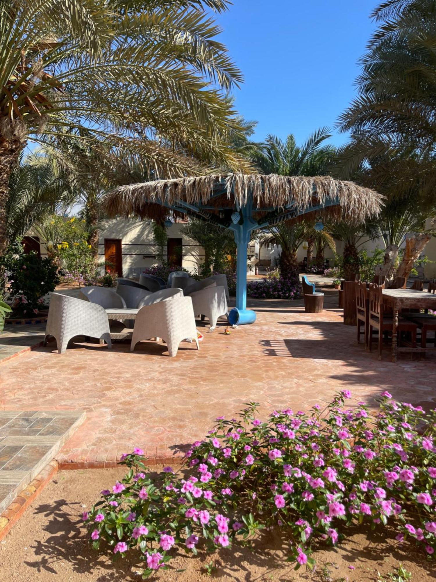 Miramar Camp Dahab Hotel Bagian luar foto