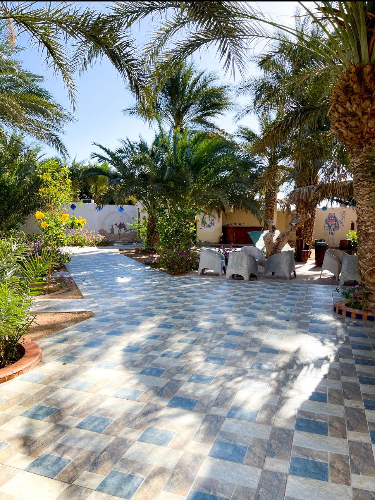 Miramar Camp Dahab Hotel Bagian luar foto